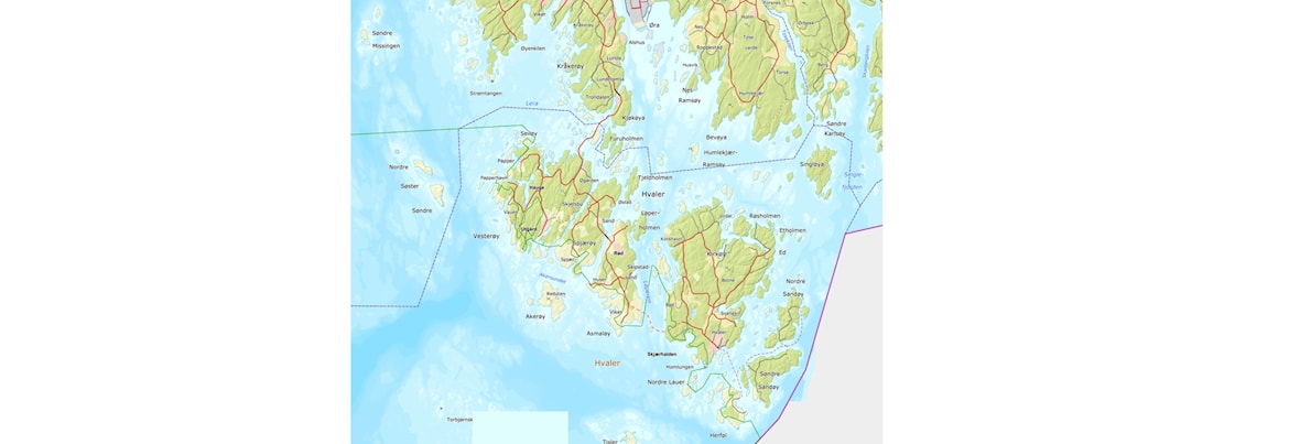 Pinsetur